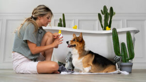 Read more about the article Aromatherapy Sessions For Your Dogs At Epitails